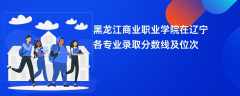黑龙江商业职业学院在辽宁各专业录取分数线及位次2024
