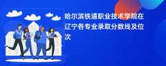 哈尔滨铁道职业技术学院2024在辽宁各专业录取分数线及位次