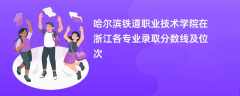哈尔滨铁道职业技术学院在浙江各专业录取分数线及位次2024