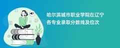 哈尔滨城市职业学院在辽宁各专业录取分数线及位次2024