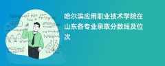 哈尔滨应用职业技术学院在山东2024各专业录取分数线及位次