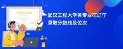 武汉工程大学各专业在辽宁录取分数线及位次2024