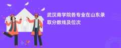 武汉商学院各专业在山东录取分数线及位次2024