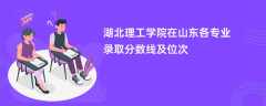 湖北理工学院在山东2024各专业录取分数线及位次