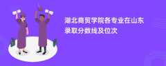 湖北商贸学院各专业在山东录取分数线及位次2024
