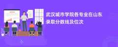 武汉城市学院各专业在山东录取分数线及位次2024