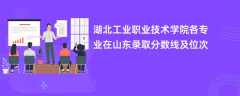 湖北工业职业技术学院各专业在山东录取分数线及位次2024
