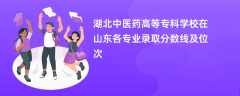 湖北中医药高等专科学校2024在山东各专业录取分数线及位次