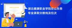 湖北健康职业学院在山东2024各专业录取分数线及位次
