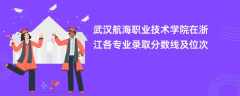 武汉航海职业技术学院在浙江各专业录取分数线及位次2024