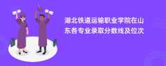 湖北铁道运输职业学院在山东各专业录取分数线及位次2024
