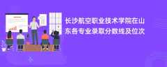 长沙航空职业技术学院在山东2024各专业录取分数线及位次