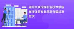 湖南大众传媒职业技术学院在浙江各专业录取分数线及位次2024