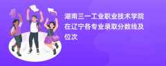 湖南三一工业职业技术学院在辽宁各专业录取分数线及位次2024