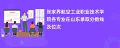 张家界航空工业职业技术学院各专业在山东录取分数线及位次2024