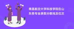 南昌航空大学科技学院2024在山东各专业录取分数线及位次