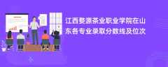 江西婺源茶业职业学院2024在山东各专业录取分数线及位次