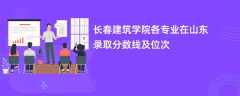 长春建筑学院各专业在山东录取分数线及位次2024