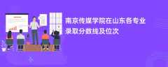 南京传媒学院在山东2024各专业录取分数线及位次
