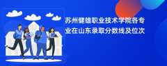 苏州健雄职业技术学院各专业在山东录取分数线及位次2024