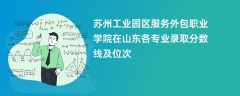 苏州工业园区服务外包职业学院在山东2024各专业录取分数线及位次