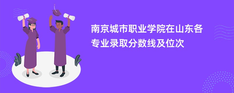 南京城市职业学院在山东各专业录取分数线及位次