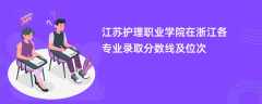 江苏护理职业学院2024在浙江各专业录取分数线及位次