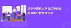 辽宁中医药大学在辽宁各专业录取分数线及位次2024