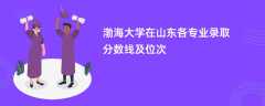 渤海大学在山东2024各专业录取分数线及位次