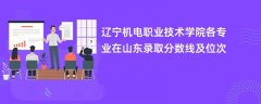 辽宁机电职业技术学院各专业在山东录取分数线及位次2024