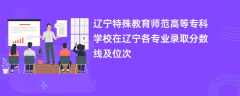 辽宁特殊教育师范高等专科学校在辽宁各专业录取分数线及位次2024
