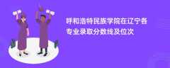 呼和浩特民族学院在辽宁2024各专业录取分数线及位次
