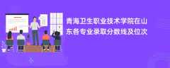 青海卫生职业技术学院在山东各专业录取分数线及位次2024