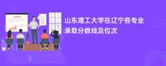 山东理工大学在辽宁2024各专业录取分数线及位次