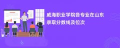 威海职业学院各专业在山东录取分数线及位次2024