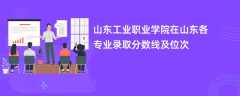 山东工业职业学院在山东2024各专业录取分数线及位次