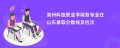 滨州科技职业学院各专业在山东录取分数线及位次2024