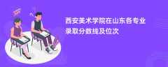 西安美术学院在山东各专业录取分数线及位次2024