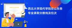西北大学现代学院在山东各专业录取分数线及位次2024