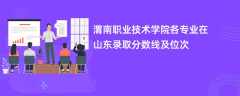 渭南职业技术学院各专业在山东录取分数线及位次2024