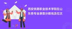 西安铁路职业技术学院在山东2024各专业录取分数线及位次