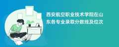 西安航空职业技术学院在山东2024各专业录取分数线及位次