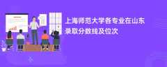 上海师范大学各专业在山东录取分数线及位次2024