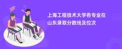 上海工程技术大学各专业在山东录取分数线及位次2024