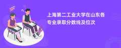 上海第二工业大学在山东2024各专业录取分数线及位次