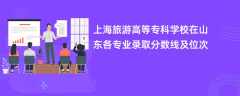 上海旅游高等专科学校在山东2024各专业录取分数线及位次