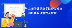 上海行健职业学院各专业在山东录取分数线及位次2024