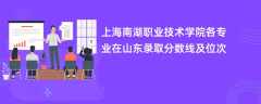 上海南湖职业技术学院各专业在山东录取分数线及位次2024