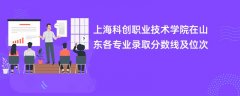 上海科创职业技术学院在山东各专业录取分数线及位次2024