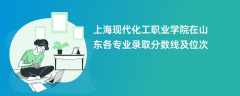 上海现代化工职业学院在山东各专业录取分数线及位次2024